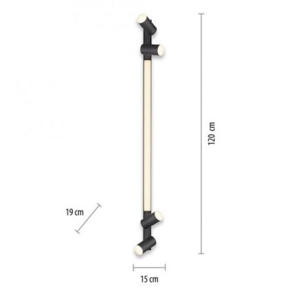 Paul Neuhaus 6121-13 - LED Aptumšojams starmetis PURE 4xLED/4W/230V + LED/9W 2700-5000K + tālvadības pults