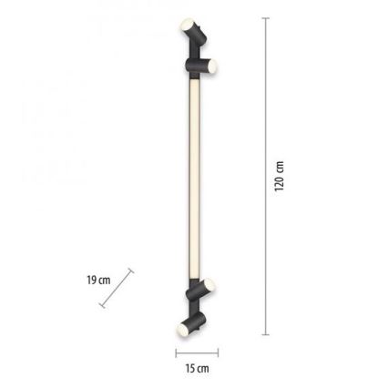 Paul Neuhaus 6121-13 - LED Aptumšojams starmetis PURE 4xLED/4W/230V + LED/9W + tālvadības pults