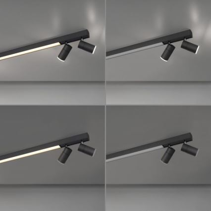 Paul Neuhaus 6121-13 - LED Aptumšojams starmetis PURE 4xLED/4W/230V + LED/9W 2700-5000K + tālvadības pults
