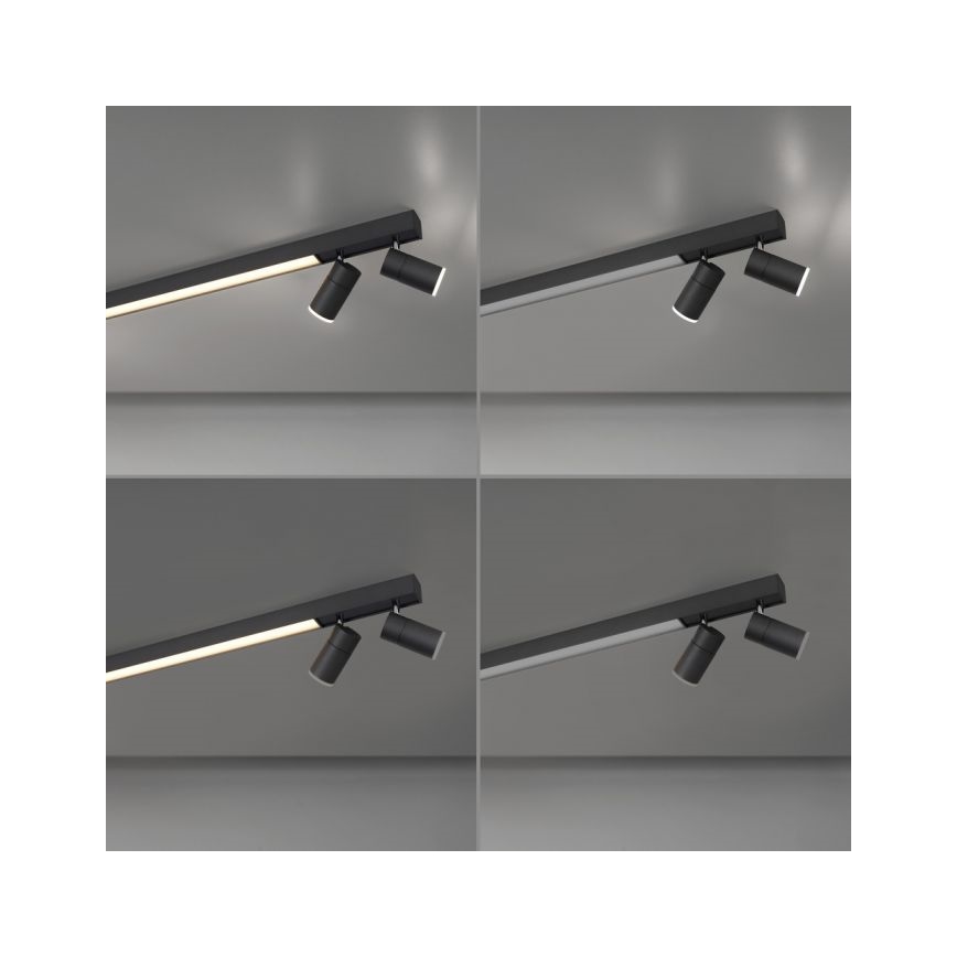 Paul Neuhaus 6121-13 - LED Aptumšojams starmetis PURE 4xLED/4W/230V + LED/9W 2700-5000K + tālvadības pults