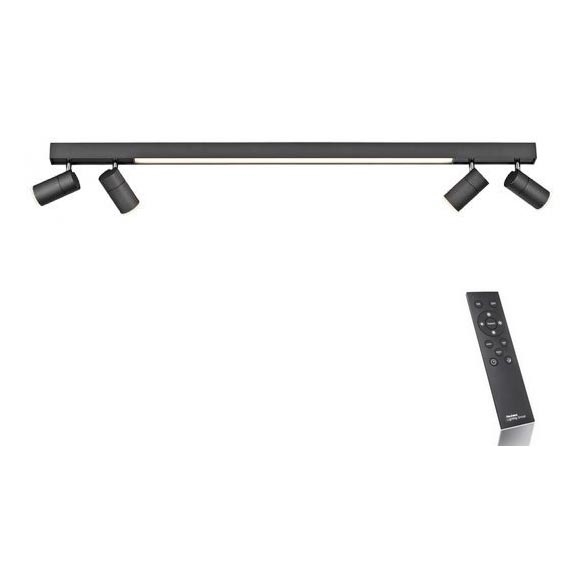 Paul Neuhaus 6121-13 - LED Aptumšojams starmetis PURE 4xLED/4W/230V + LED/9W 2700-5000K + tālvadības pults