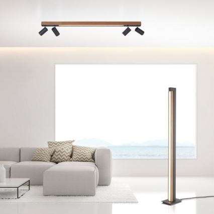 Paul Neuhaus 6121-79 - LED Aptumšojams starmetis PURE 4xLED/4W/230V + LED/9W 2700-5000K + tālvadības pults