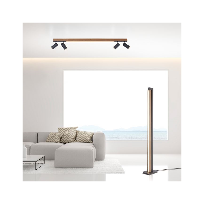 Paul Neuhaus 6121-79 - LED Aptumšojams starmetis PURE 4xLED/4W/230V + LED/9W 2700-5000K + tālvadības pults
