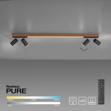Paul Neuhaus 6121-79 - LED Aptumšojams starmetis PURE 4xLED/4W/230V + LED/9W 2700-5000K + tālvadības pults