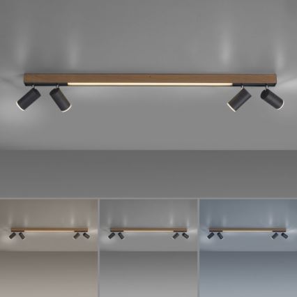 Paul Neuhaus 6121-79 - LED Aptumšojams starmetis PURE 4xLED/4W/230V + LED/9W 2700-5000K + tālvadības pults