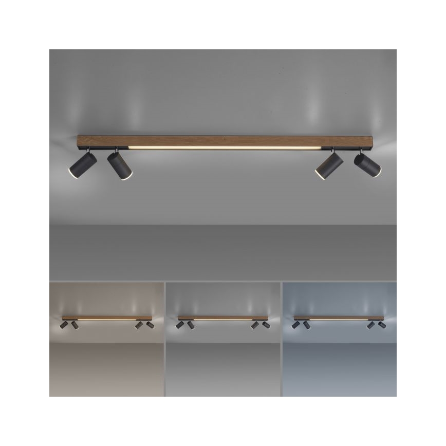 Paul Neuhaus 6121-79 - LED Aptumšojams starmetis PURE 4xLED/4W/230V + LED/9W 2700-5000K + tālvadības pults