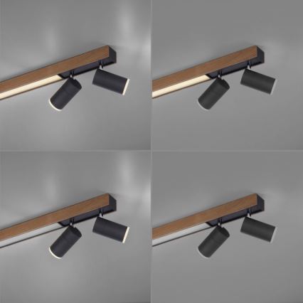Paul Neuhaus 6121-79 - LED Aptumšojams starmetis PURE 4xLED/4W/230V + LED/9W 2700-5000K + tālvadības pults