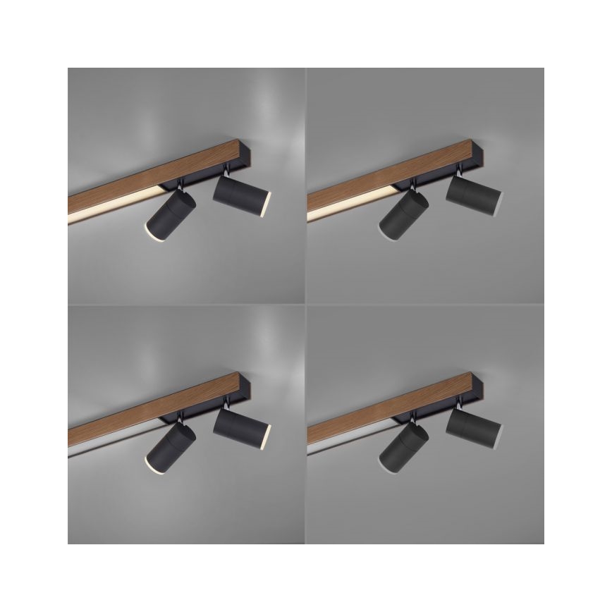 Paul Neuhaus 6121-79 - LED Aptumšojams starmetis PURE 4xLED/4W/230V + LED/9W 2700-5000K + tālvadības pults