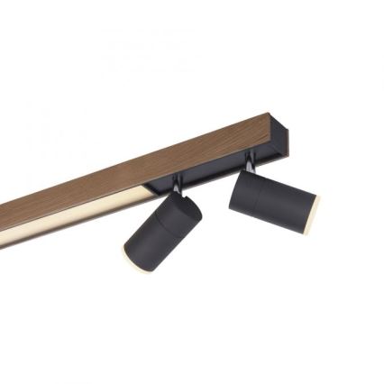 Paul Neuhaus 6121-79 - LED Aptumšojams starmetis PURE 4xLED/4W/230V + LED/9W 2700-5000K + tālvadības pults