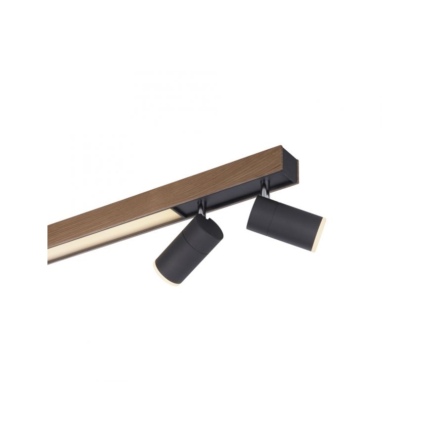 Paul Neuhaus 6121-79 - LED Aptumšojams starmetis PURE 4xLED/4W/230V + LED/9W 2700-5000K + tālvadības pults