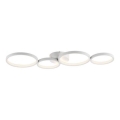 Paul Neuhaus 6183-16 - LED Aptumšojama griestu lampa KIRINGE LED/26W/230V