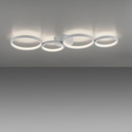 Paul Neuhaus 6183-16 - LED Aptumšojama griestu lampa KIRINGE LED/26W/230V