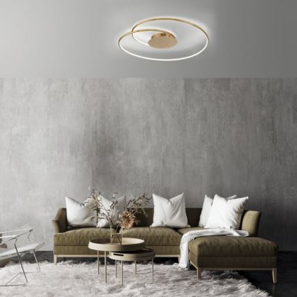 Paul Neuhaus 6189-12 - LED Aptumšojama griestu lampa NASTRO LED/26W/230V