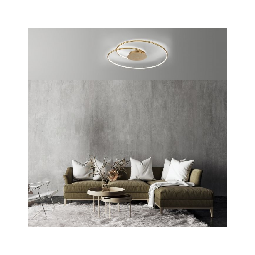 Paul Neuhaus 6189-12 - LED Aptumšojama griestu lampa NASTRO LED/26W/230V