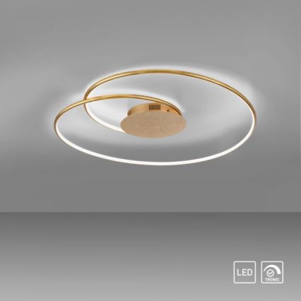 Paul Neuhaus 6189-12 - LED Aptumšojama griestu lampa NASTRO LED/26W/230V
