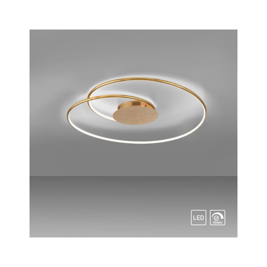 Paul Neuhaus 6189-12 - LED Aptumšojama griestu lampa NASTRO LED/26W/230V