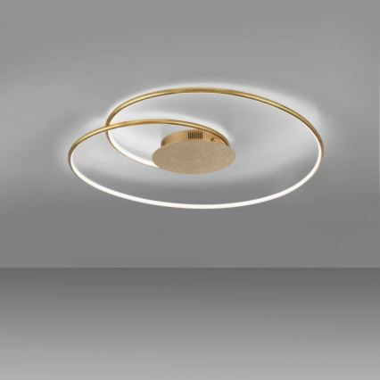 Paul Neuhaus 6189-12 - LED Aptumšojama griestu lampa NASTRO LED/26W/230V
