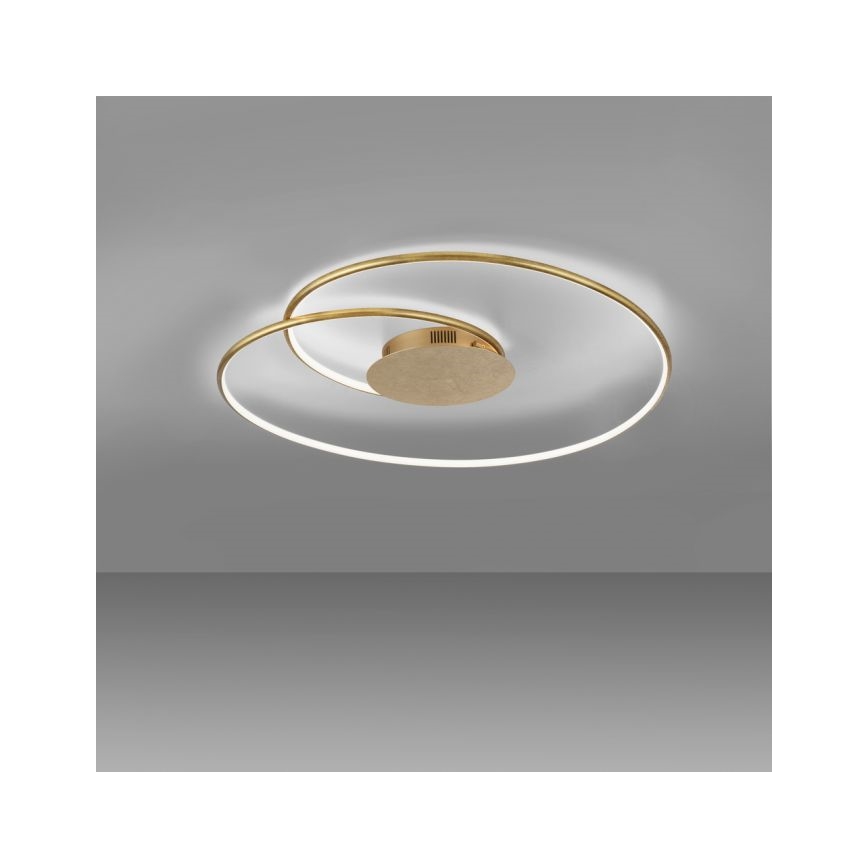 Paul Neuhaus 6189-12 - LED Aptumšojama griestu lampa NASTRO LED/26W/230V
