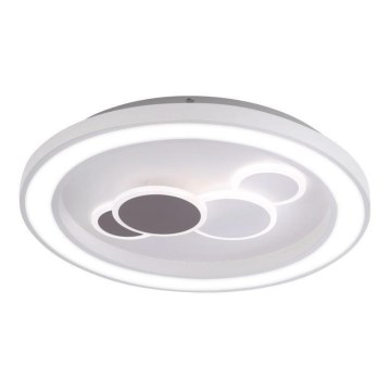 Paul Neuhaus 6284-16 - LED Griestu lampa ELIZA LED/55,5W/230V d. 60 cm