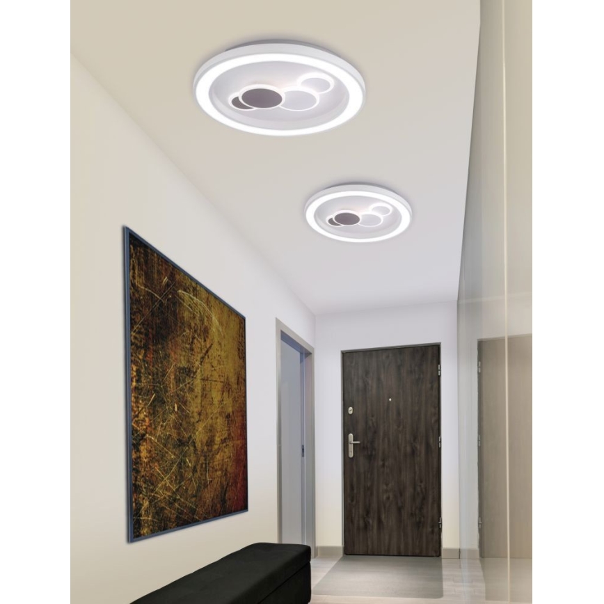 Paul Neuhaus 6284-16 - LED Griestu lampa ELIZA LED/55,5W/230V d. 60 cm