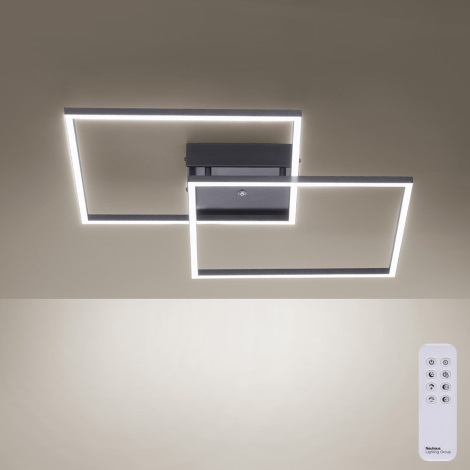 Paul Neuhaus 6437-18 - LED Aptumšojama pieliekama lustra INIGO 2xLED/12,5W/230V