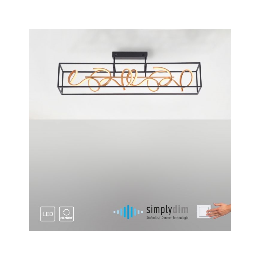 Paul Neuhaus 6473-18 - LED Aptumšojama piekaramā lustra SELINA 4xLED/10,2W/230V