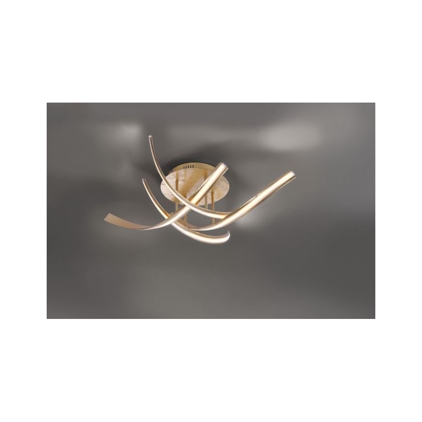 Paul Neuhaus 6474-12 - LED Aptumšojama virsapmetuma lustra LINDA 4xLED/7W/230V