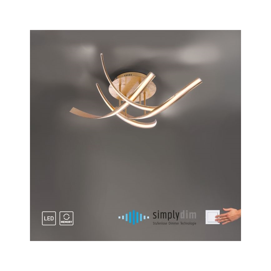 Paul Neuhaus 6474-12 - LED Aptumšojama virsapmetuma lustra LINDA 4xLED/7W/230V