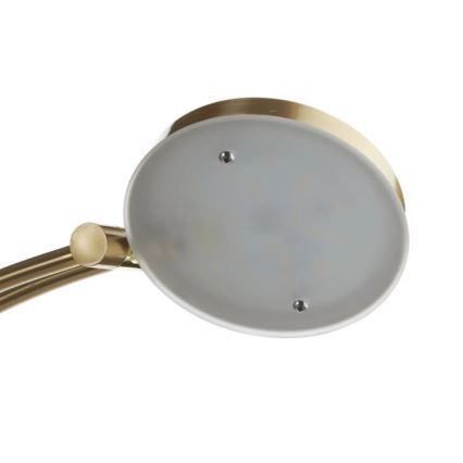 Paul Neuhaus 655-60 - regulējama LED grīdas lampa ALFRED LED/28W/230V+LED/4W/230V misiņš