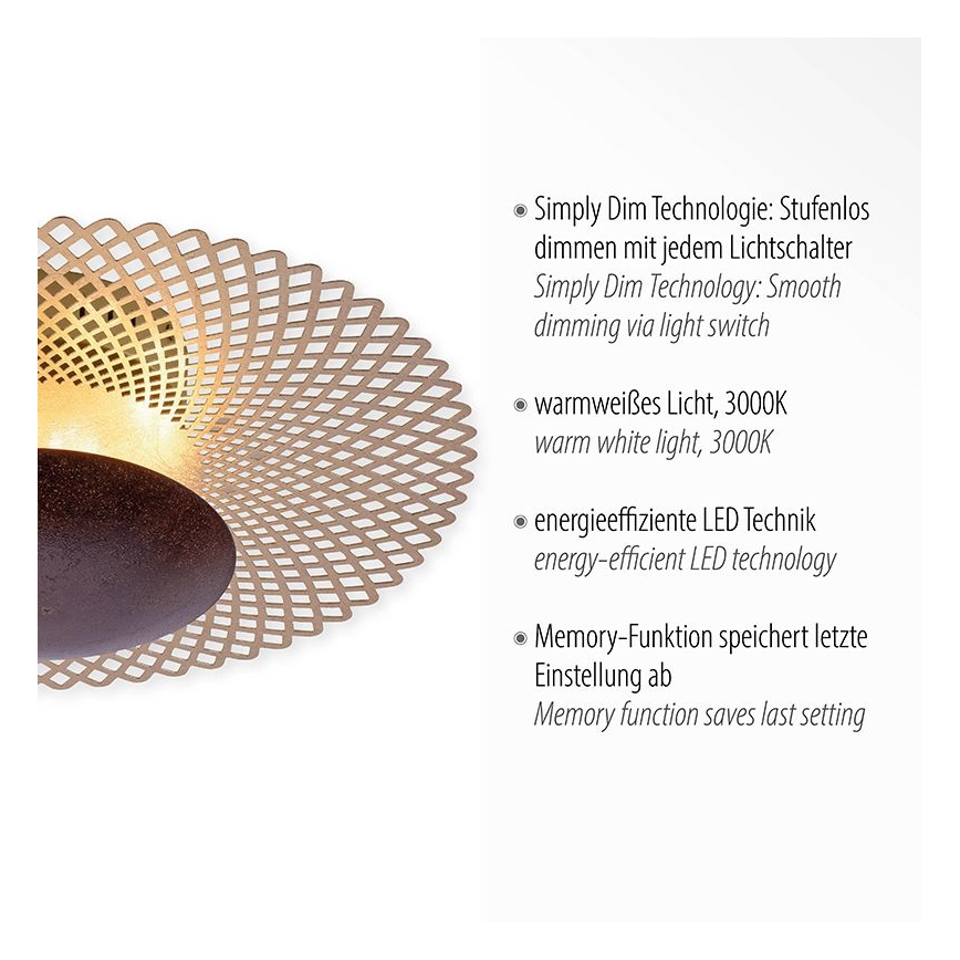 Paul Neuhaus 6551-48 - LED Aptumšojams griestu gaismeklis NEVIS LED/18W/230V