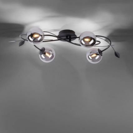 Paul Neuhaus 6724-18 - LED Virsapmetuma lustra WIDOW 4xG9/3W/230V