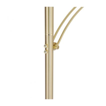 Paul Neuhaus 673-60 - LED regulējamā grīdas lampa ARTUR 2xLED/21W/230V+LED/6W zelta