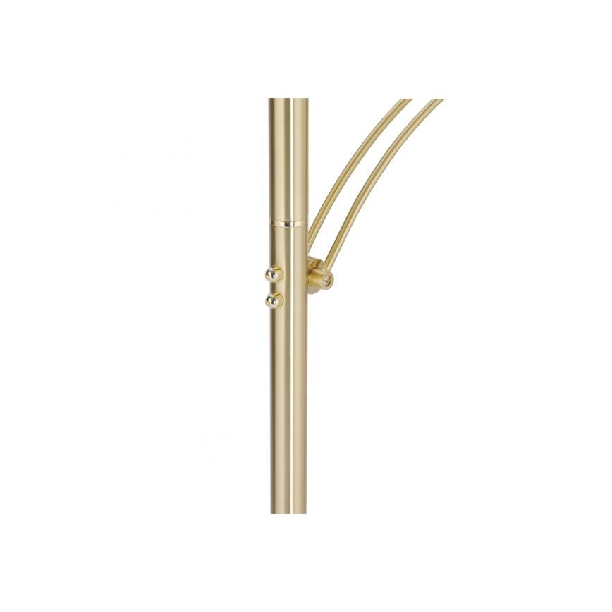 Paul Neuhaus 673-60 - LED regulējamā grīdas lampa ARTUR 2xLED/21W/230V+LED/6W zelta