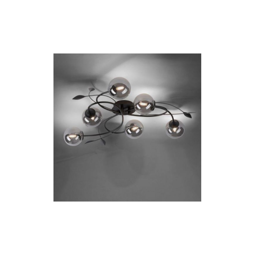 Paul Neuhaus 6737-18 - LED Virsapmetuma lustra WIDOW 6xG9/3W/230V