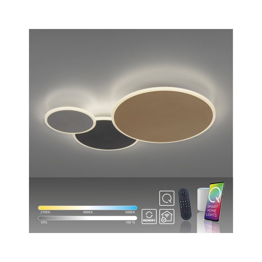 Paul Neuhaus 8007-70 - LED Aptumšojama griestu lampa Q-PIATO LED/35W/230V 2700-5000K Wi-Fi + tālvadības pults