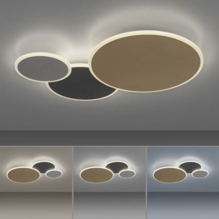 Paul Neuhaus 8007-70 - LED Aptumšojama griestu lampa Q-PIATO LED/35W/230V 2700-5000K Wi-Fi + tālvadības pults