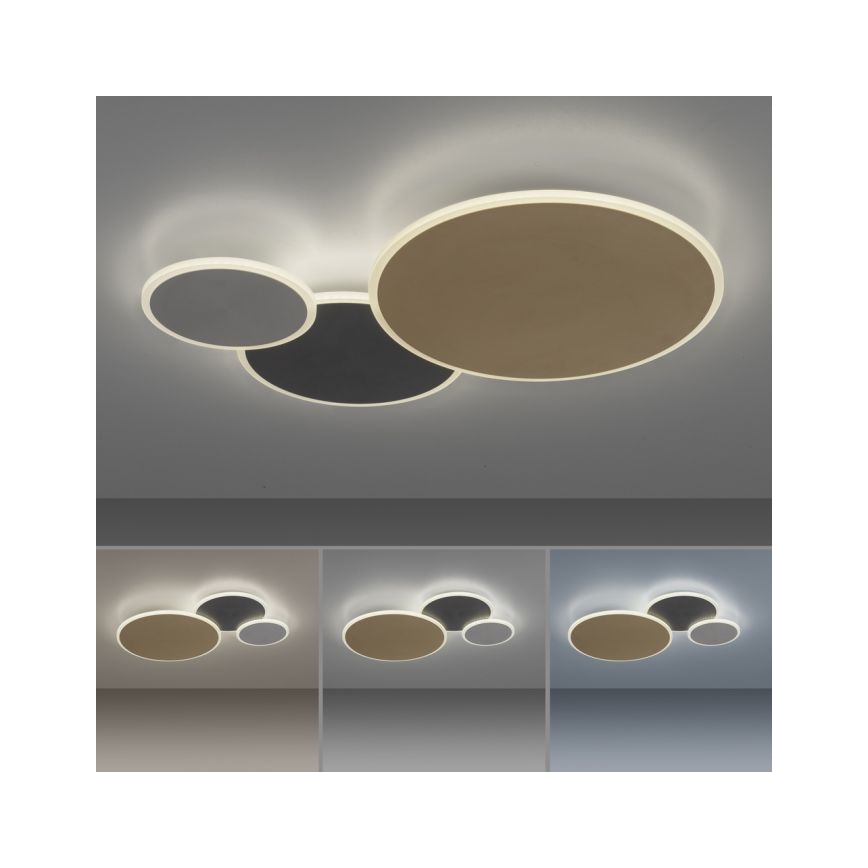 Paul Neuhaus 8007-70 - LED Aptumšojama griestu lampa Q-PIATO LED/35W/230V 2700-5000K Wi-Fi + tālvadības pults