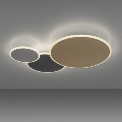Paul Neuhaus 8007-70 - LED Aptumšojama griestu lampa Q-PIATO LED/35W/230V 2700-5000K Wi-Fi + tālvadības pults