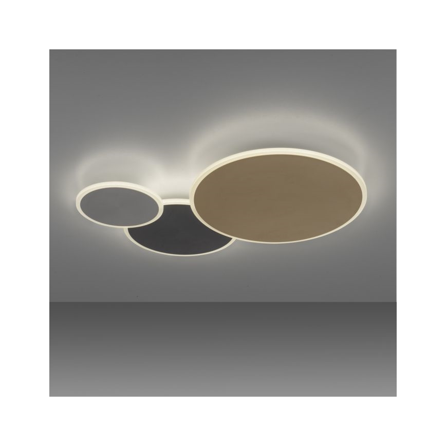 Paul Neuhaus 8007-70 - LED Aptumšojama griestu lampa Q-PIATO LED/35W/230V 2700-5000K Wi-Fi + tālvadības pults