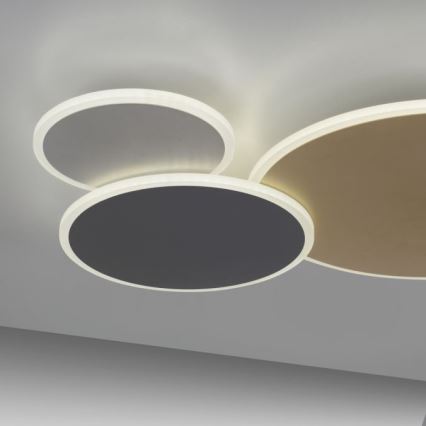 Paul Neuhaus 8007-70 - LED Aptumšojama griestu lampa Q-PIATO LED/35W/230V 2700-5000K Wi-Fi + tālvadības pults