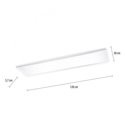 Paul Neuhaus 8112-17 - LED Aptumšojams virsapmetuma panelis FLAG LED/35W/230V