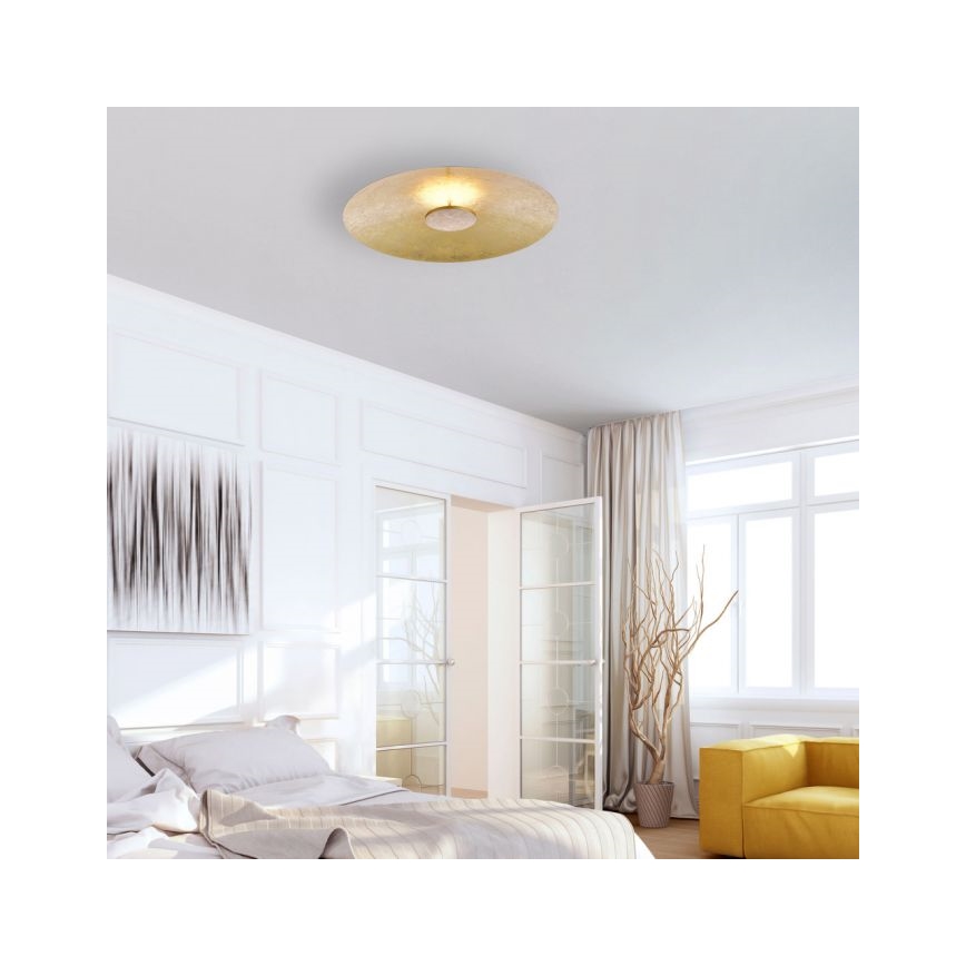 Paul Neuhaus 8132-12 - LED Aptumšojams griestu gaismeklis PLATE LED/25W/230V