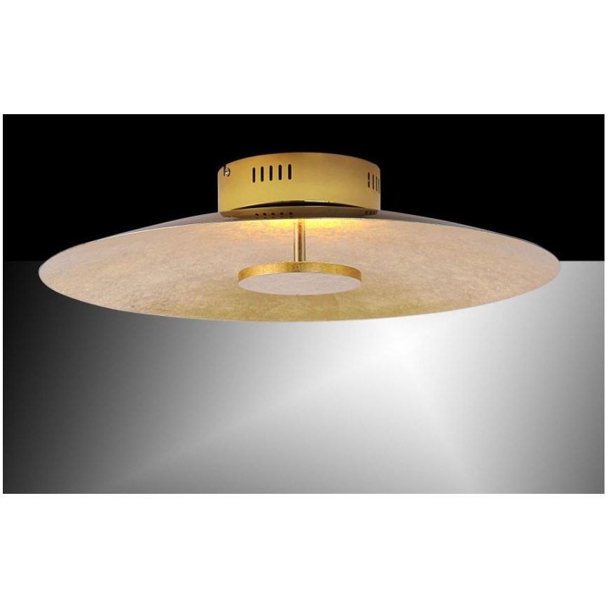 Paul Neuhaus 8132-12 - LED Aptumšojams griestu gaismeklis PLATE LED/25W/230V