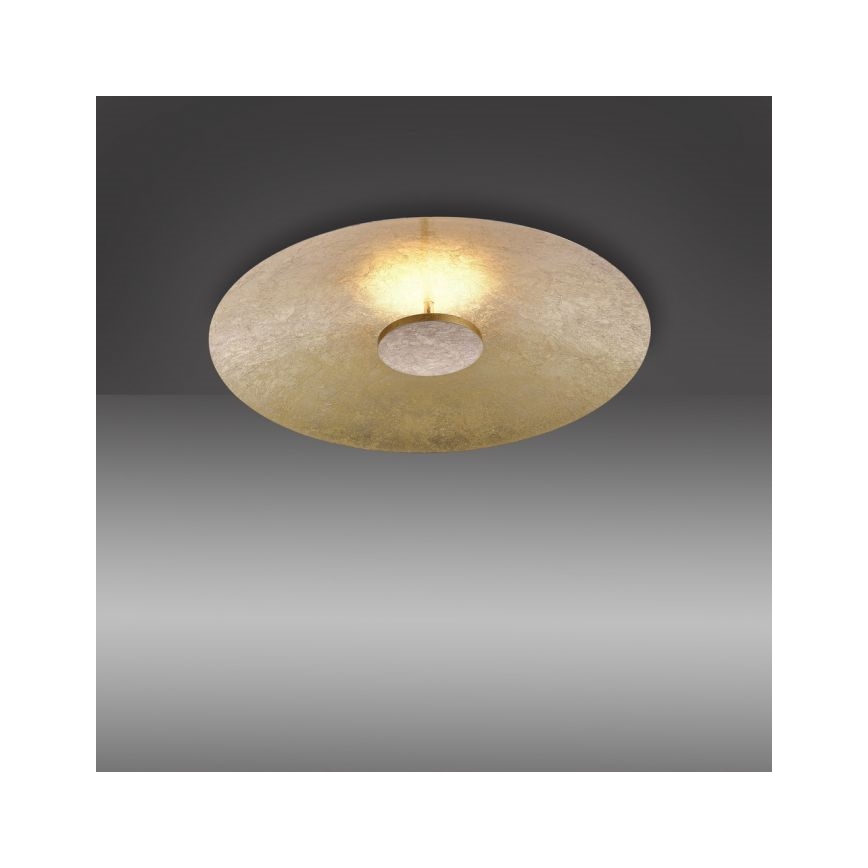 Paul Neuhaus 8132-12 - LED Aptumšojams griestu gaismeklis PLATE LED/25W/230V