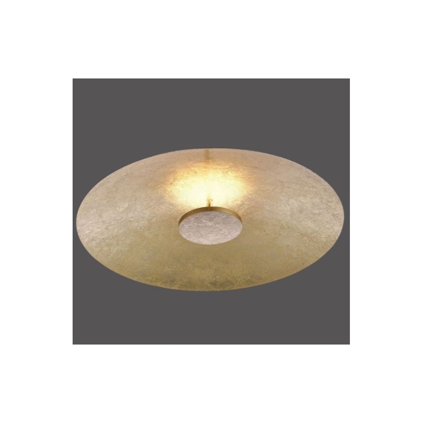 Paul Neuhaus 8132-12 - LED Aptumšojams griestu gaismeklis PLATE LED/25W/230V