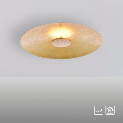 Paul Neuhaus 8132-12 - LED Aptumšojams griestu gaismeklis PLATE LED/25W/230V