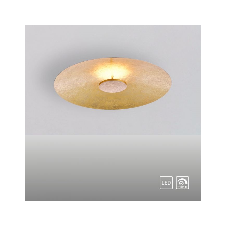 Paul Neuhaus 8132-12 - LED Aptumšojams griestu gaismeklis PLATE LED/25W/230V