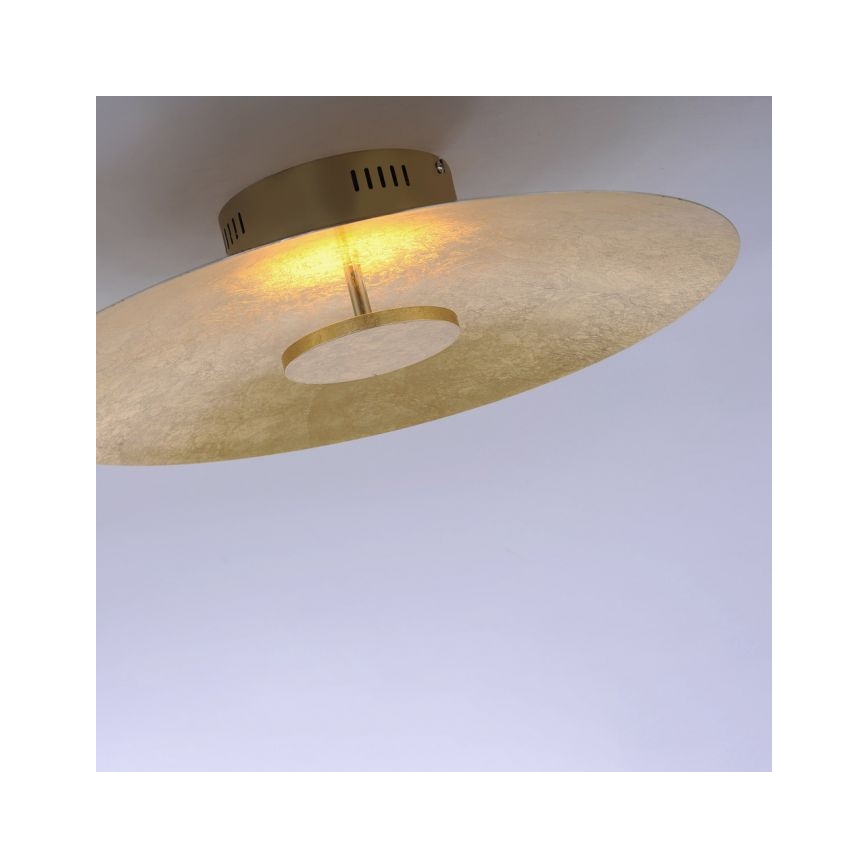 Paul Neuhaus 8132-12 - LED Aptumšojams griestu gaismeklis PLATE LED/25W/230V