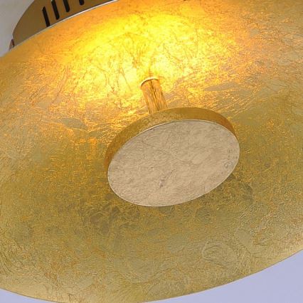 Paul Neuhaus 8132-12 - LED Aptumšojams griestu gaismeklis PLATE LED/25W/230V