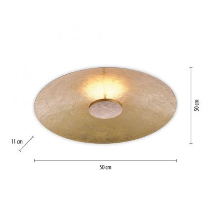 Paul Neuhaus 8132-12 - LED Aptumšojams griestu gaismeklis PLATE LED/25W/230V